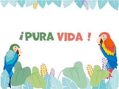 コスタリカの鳥つがい